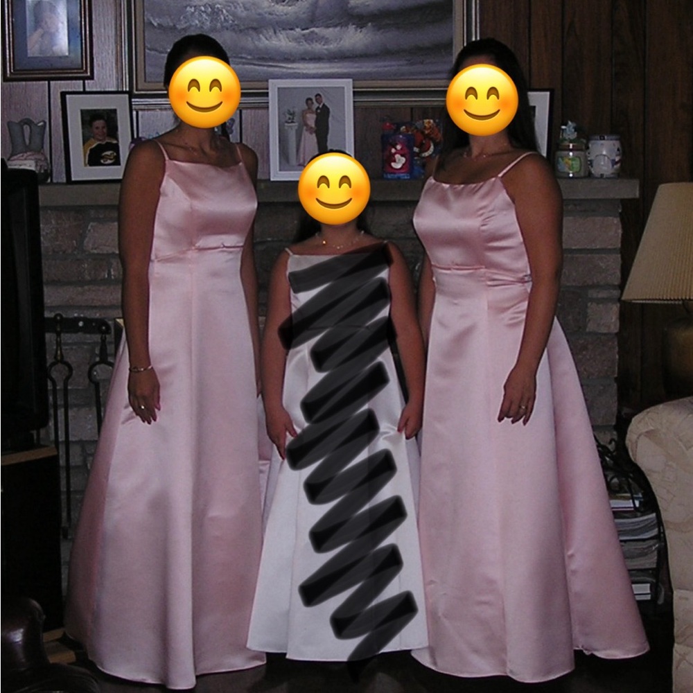 Pair of Pale Pink Bridesmaid Dresses